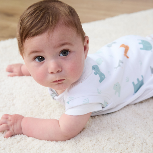 Hypoallergenic 0.5Tog baby sleep sack with two-way zipper Animal Safari